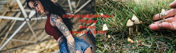 ALPHA-PVP Надым