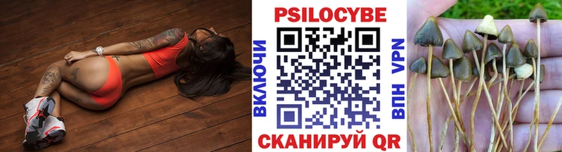 Псилоцибиновые грибы Cubensis  Купить где  Ханты-Мансийск 